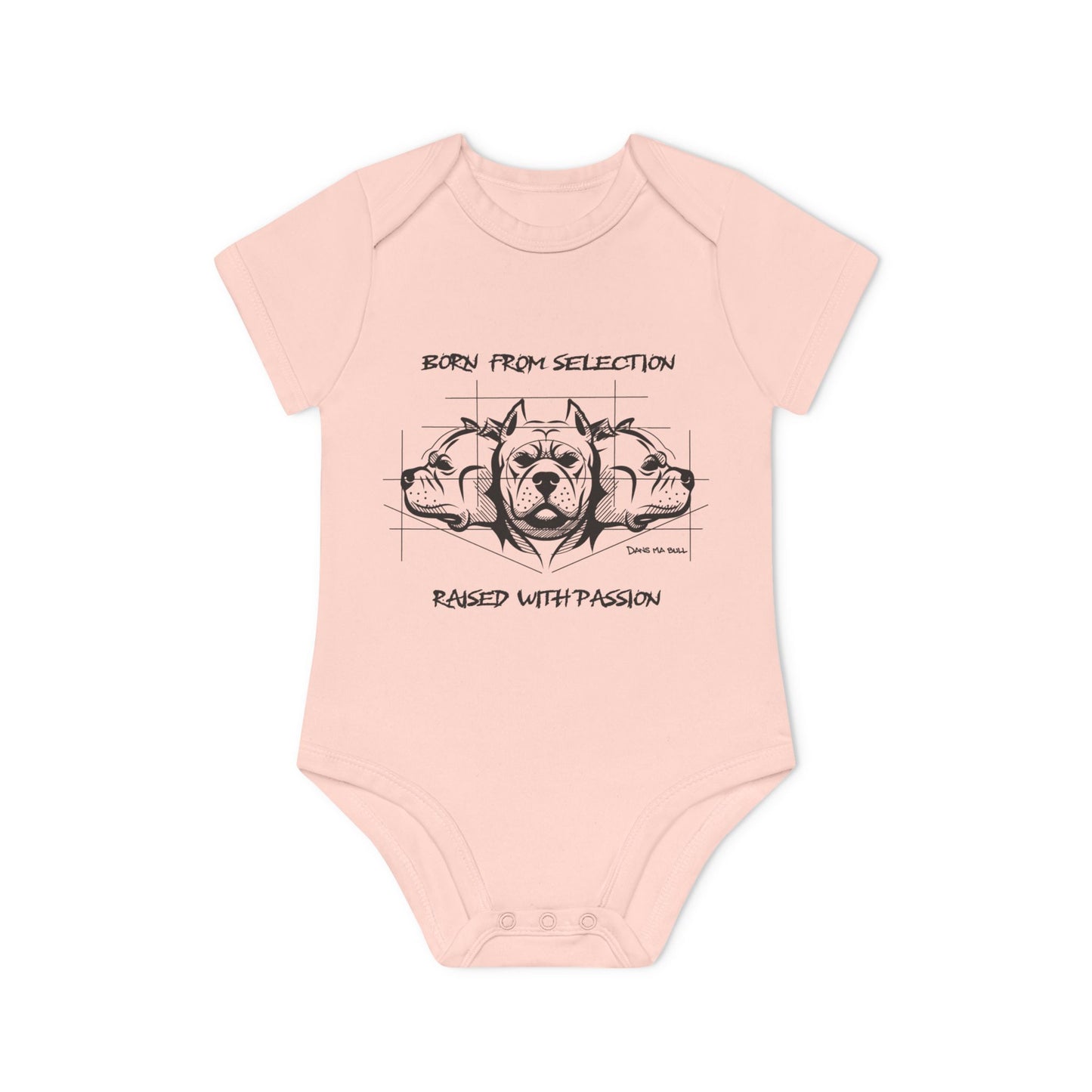 Body Bébé – Born From Selection, Raised With Passion | Héritage Bully