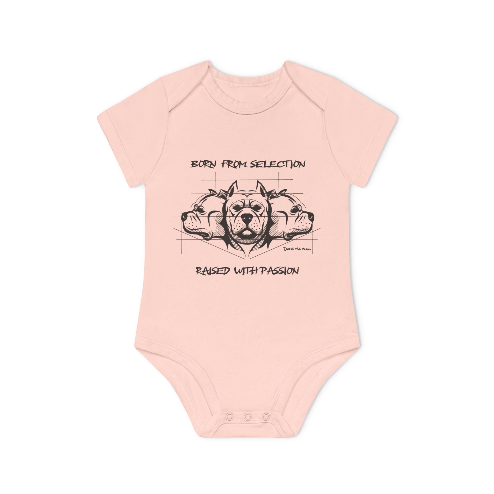 Body Bébé – Born From Selection, Raised With Passion | Héritage Bully