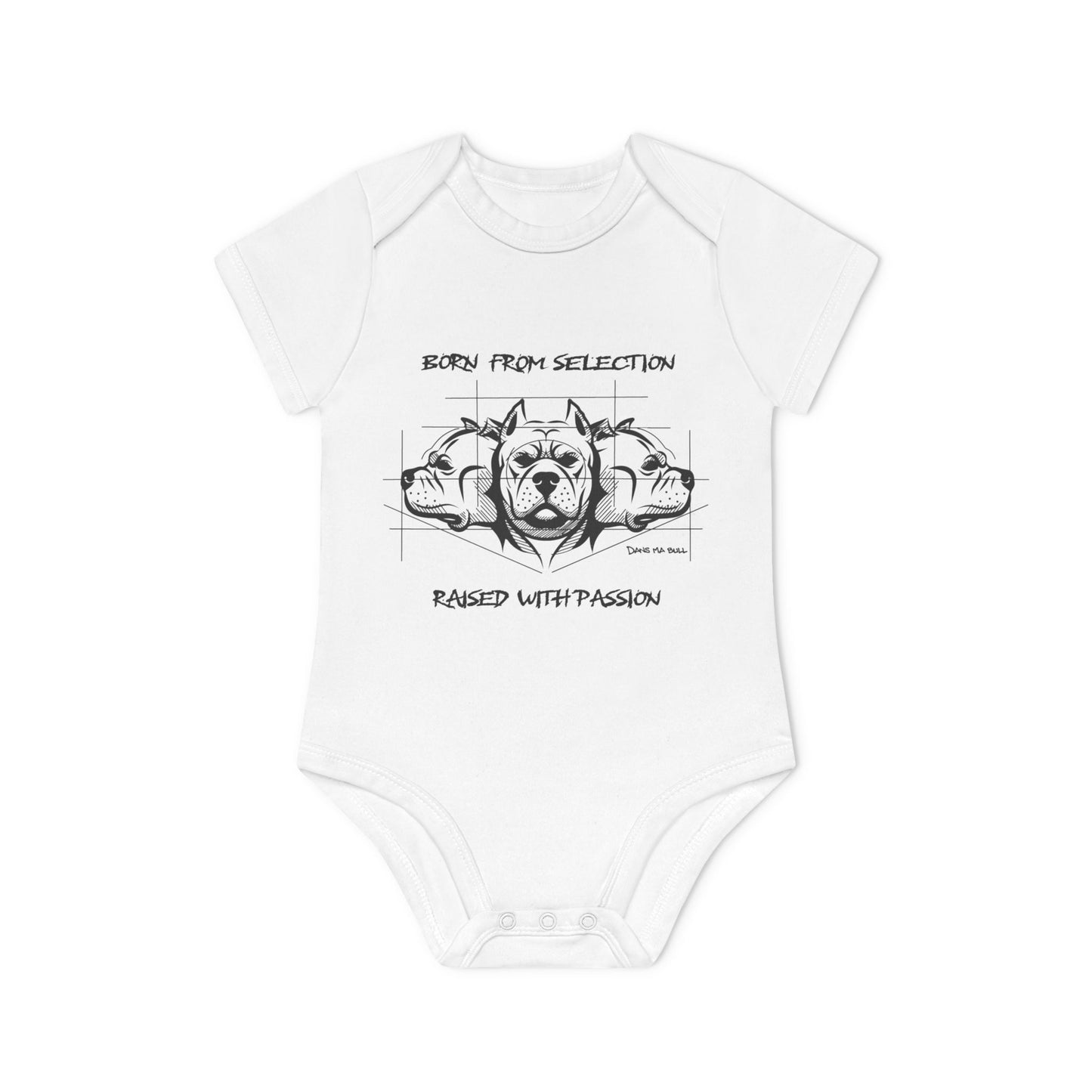 Body Bébé – Born From Selection, Raised With Passion | Héritage Bully